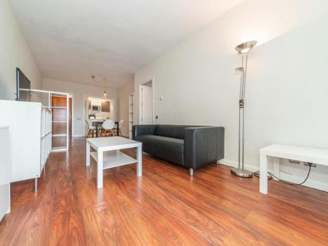Alquiler 1 Dormitorio Apartamentos Madrid Madrid DS102855062