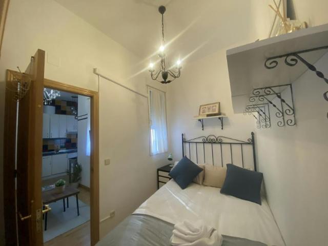 Alquiler 1 Dormitorio Apartamentos Madrid Madrid DS102952962