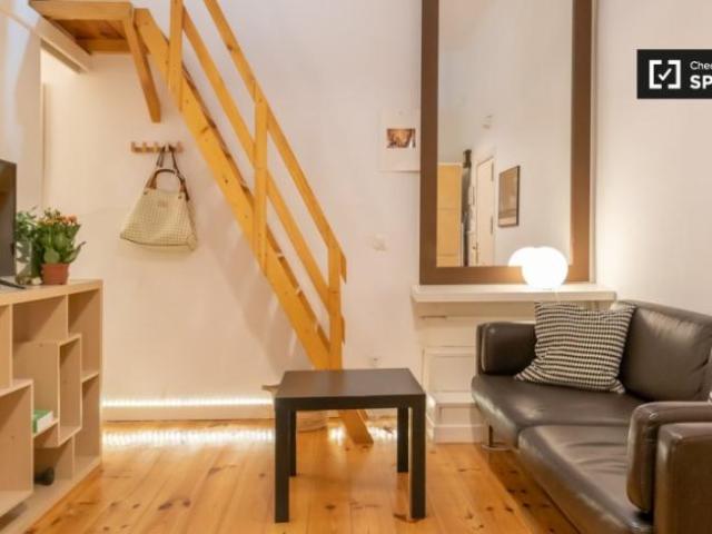 Alquiler 1 Dormitorio Apartamentos Madrid Madrid DS102056232