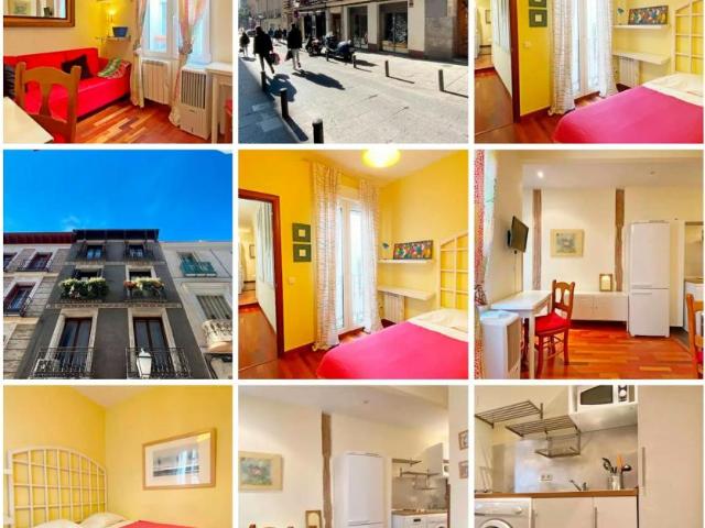 Alquiler 1 Dormitorio Apartamentos Madrid Madrid DS102114838