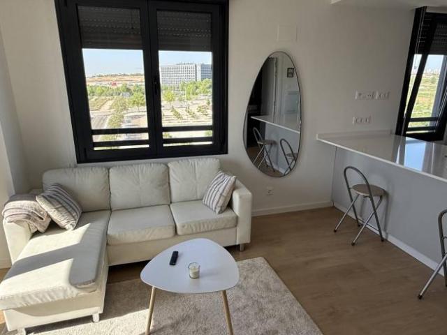 Alquiler 1 Dormitorio Apartamentos Madrid Madrid DS102115031