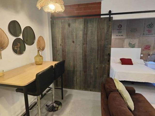 Alquiler 1 Dormitorio Apartamentos Madrid Madrid DS102274578