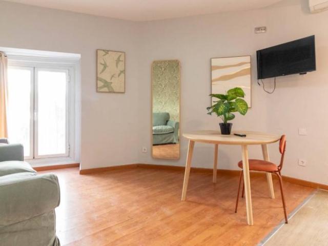 Alquiler 1 Dormitorio Apartamentos Madrid Madrid DS102340841
