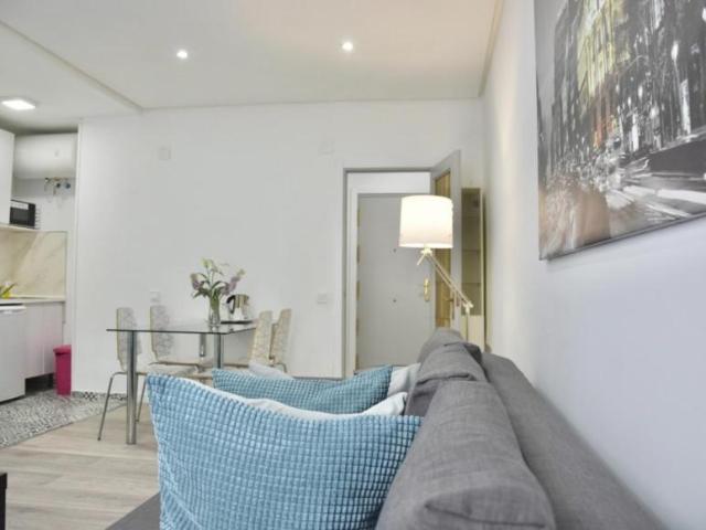 Alquiler 1 Dormitorio Apartamentos Madrid Madrid DS103594817