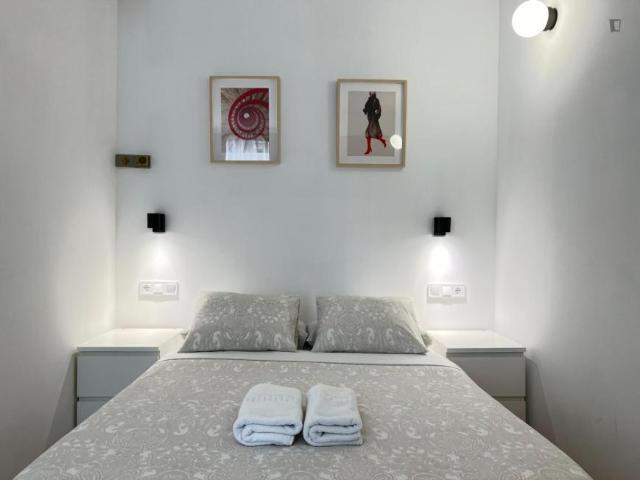 Alquiler 1 Dormitorio Apartamentos Madrid Madrid DS103594838