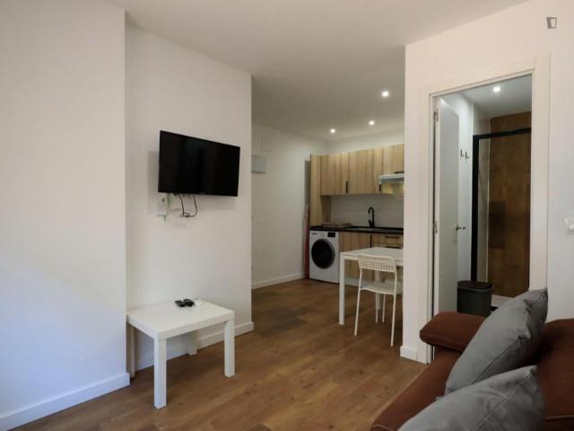 Alquiler 1 Dormitorio Apartamentos Madrid Madrid DS103594852