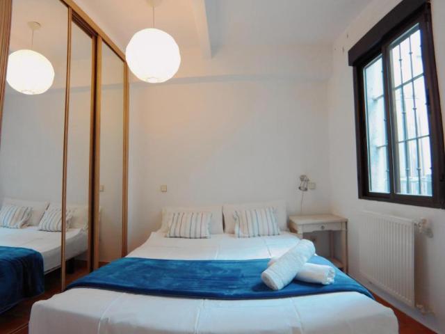 Alquiler 1 Dormitorio Apartamentos Madrid Madrid DS103594924