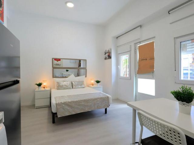 Alquiler 1 Dormitorio Apartamentos Madrid Madrid DS103595459