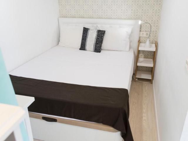 Alquiler 1 Dormitorio Apartamentos Madrid Madrid DS103595473