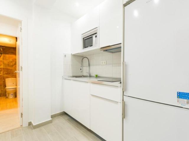 Alquiler 1 Dormitorio Apartamentos Madrid Madrid DS103595480