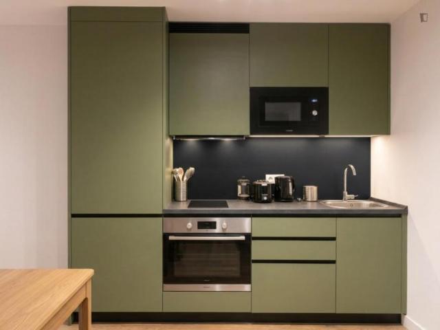 Alquiler 1 Dormitorio Apartamentos Madrid Madrid DS103595333