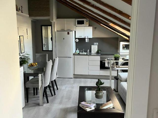 Alquiler 1 Dormitorio Apartamentos Madrid Madrid DS103653991
