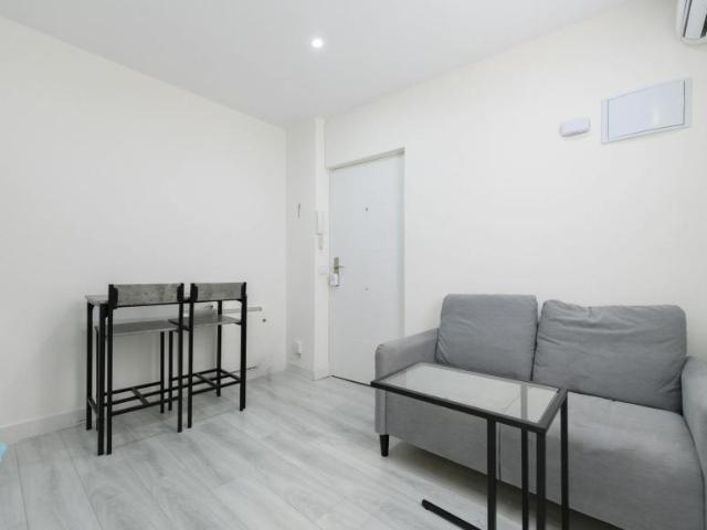 Alquiler 1 Dormitorio Apartamentos Madrid Madrid DS103654996