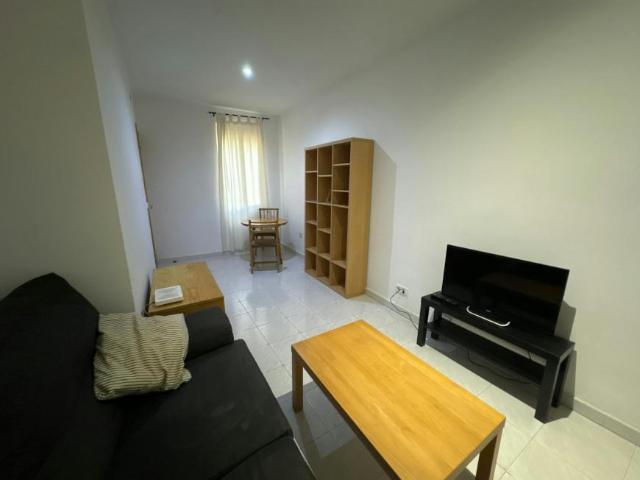 Alquiler 1 Dormitorio Apartamentos Madrid Madrid DS103654236