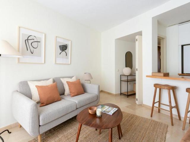 Alquiler 1 Dormitorio Apartamentos Madrid Madrid DS103656117