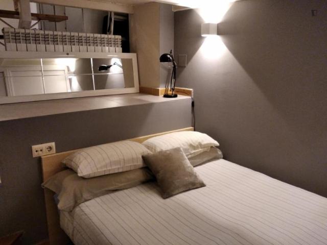 Alquiler 1 Dormitorio Apartamentos Madrid Madrid DS103695445