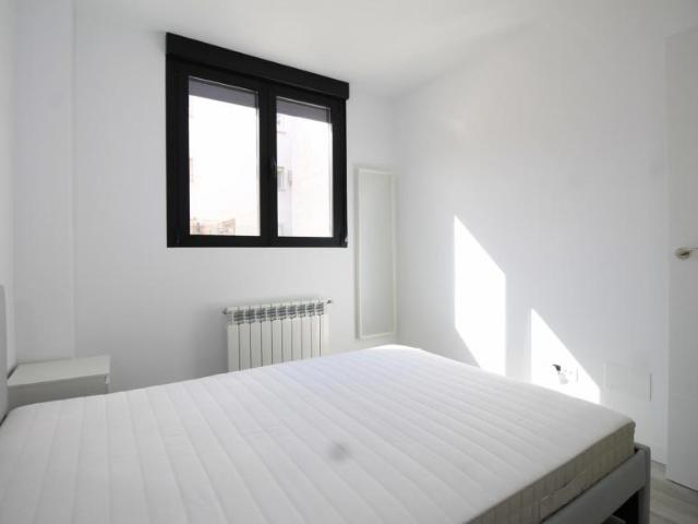 Alquiler 1 Dormitorio Apartamentos Madrid Madrid DS103695456
