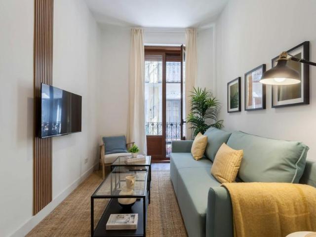 Alquiler 1 Dormitorio Apartamentos Madrid Madrid DS103922114