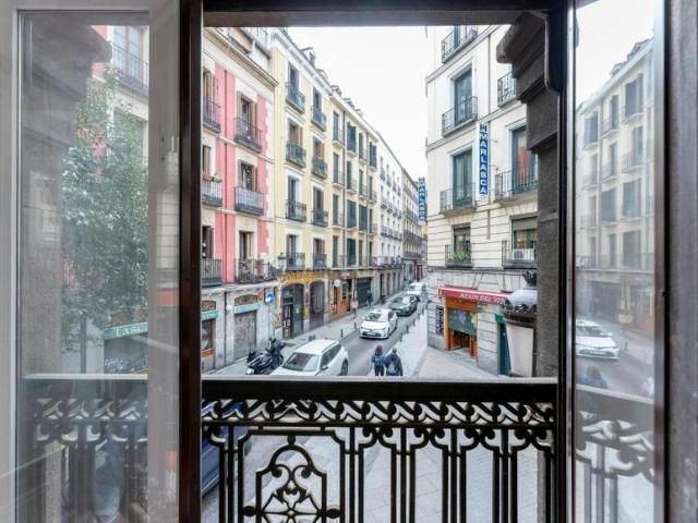 Alquiler 1 Dormitorio Apartamentos Madrid Madrid DS103922168