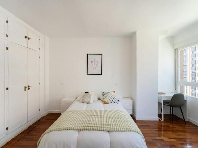 Alquiler 1 Dormitorio Apartamentos Madrid Madrid DS103922196