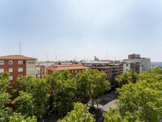 Alquiler 1 Dormitorio Apartamentos Madrid Madrid DS103922344