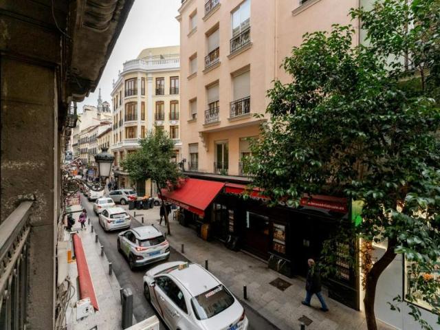 Alquiler 1 Dormitorio Apartamentos Madrid Madrid DS103922399