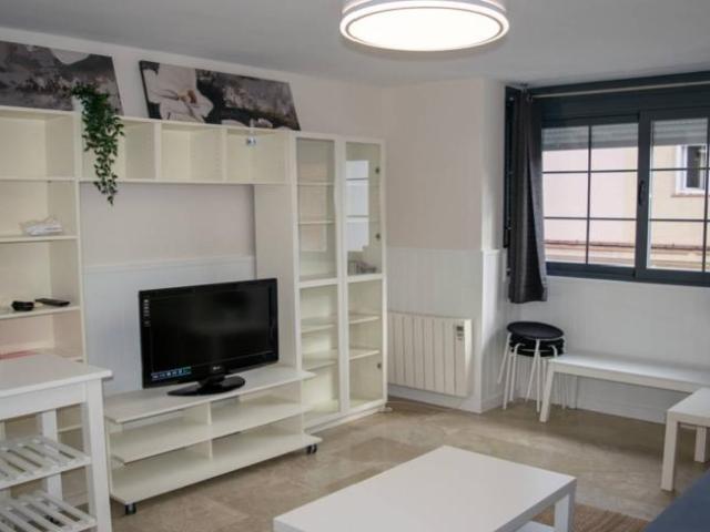 Alquiler 1 Dormitorio Apartamentos Madrid Madrid DS103925246