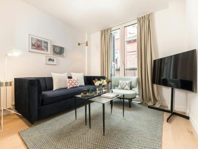 Alquiler 1 Dormitorio Apartamentos Madrid Madrid DS103959846