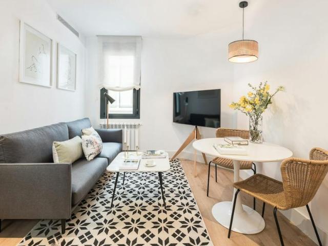 Alquiler 1 Dormitorio Apartamentos Madrid Madrid DS103960156