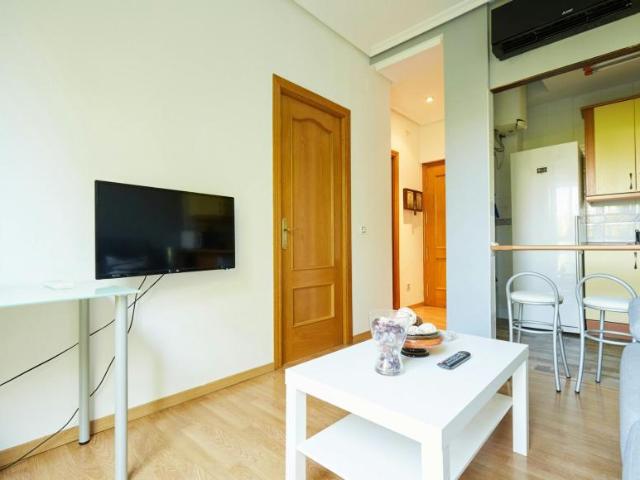 Alquiler 1 Dormitorio Apartamentos Madrid Madrid DS103031837