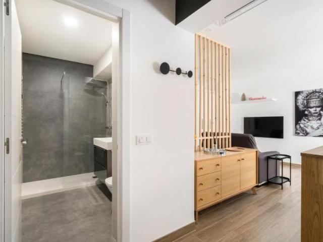 Alquiler 1 Dormitorio Apartamentos Madrid Madrid DS103031061