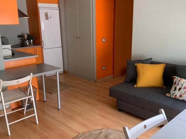 Alquiler 1 Dormitorio Apartamentos Madrid Madrid DS103032222