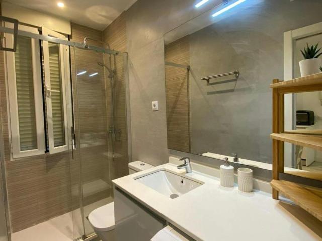 Alquiler 1 Dormitorio Apartamentos Madrid Madrid DS103092234