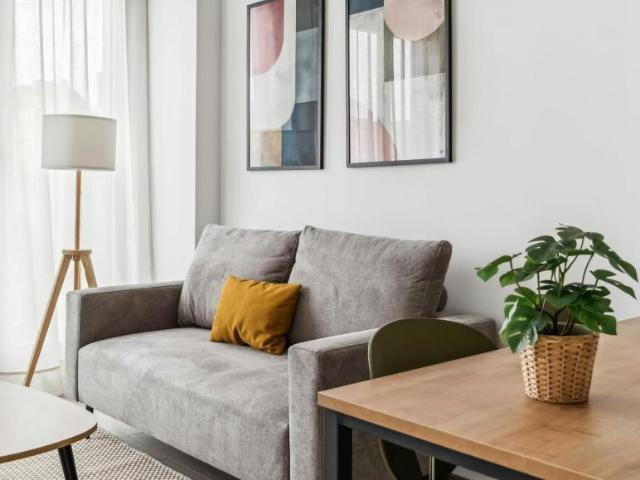 Alquiler 1 Dormitorio Apartamentos Madrid Madrid DS103119912