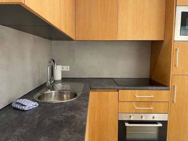 Alquiler 1 Dormitorio Apartamentos Madrid Madrid DS103120752