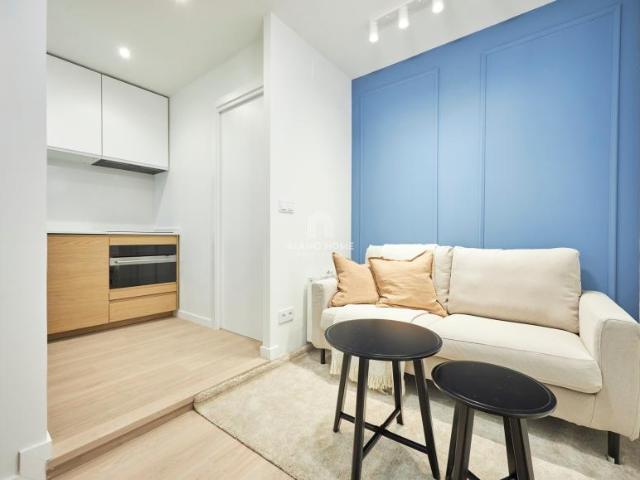 Alquiler 1 Dormitorio Apartamentos Madrid Madrid DS103154164