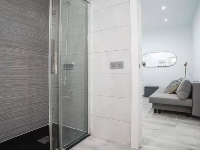 Alquiler 1 Dormitorio Apartamentos Madrid Madrid DS103154260