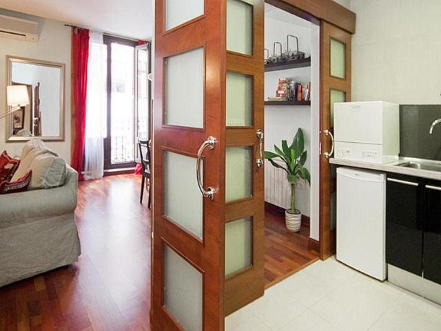 Alquiler 1 Dormitorio Apartamentos Madrid Madrid DS103256492