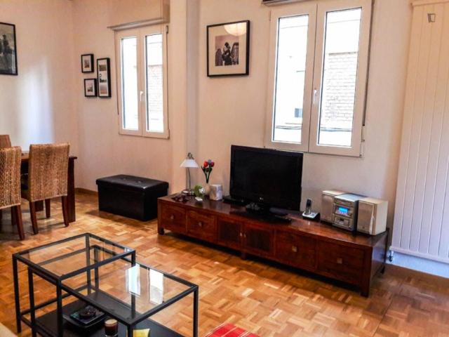 Alquiler 1 Dormitorio Apartamentos Madrid Madrid DS103256756
