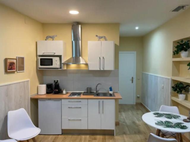 Alquiler 1 Dormitorio Apartamentos Madrid Madrid DS103260238