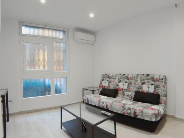 Alquiler 1 Dormitorio Apartamentos Madrid Madrid DS103262802