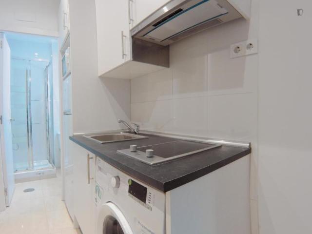 Alquiler 1 Dormitorio Apartamentos Madrid Madrid DS103263553