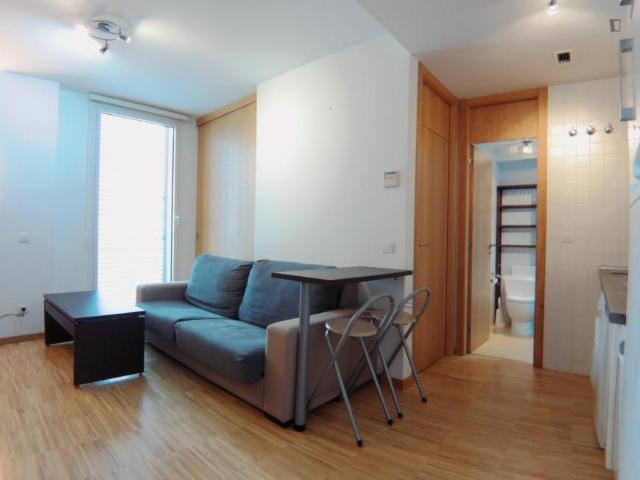 Alquiler 1 Dormitorio Apartamentos Madrid Madrid DS103263621