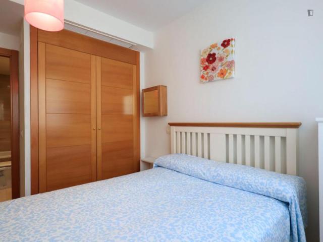 Alquiler 1 Dormitorio Apartamentos Madrid Madrid DS103263864