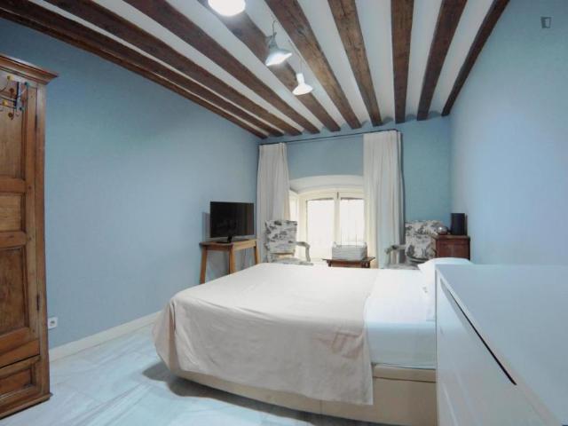 Alquiler 1 Dormitorio Apartamentos Madrid Madrid DS103264479