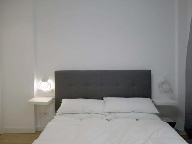 Alquiler 1 Dormitorio Apartamentos Madrid Madrid DS103264242