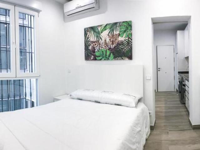 Alquiler 1 Dormitorio Apartamentos Madrid Madrid DS103265215