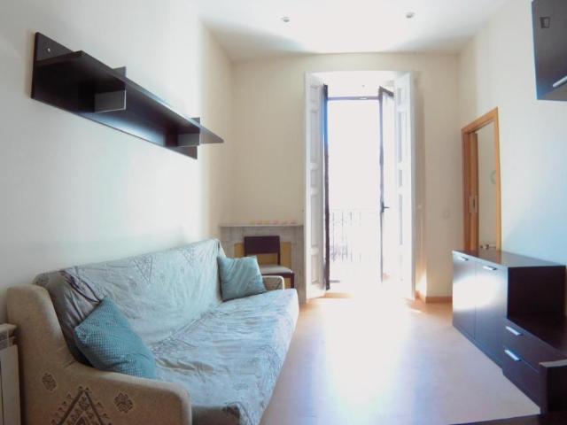 Alquiler 1 Dormitorio Apartamentos Madrid Madrid DS103265315