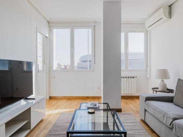 Alquiler 1 Dormitorio Apartamentos Madrid Madrid DS103266966