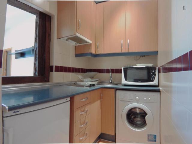Alquiler 1 Dormitorio Apartamentos Madrid Madrid DS103266372